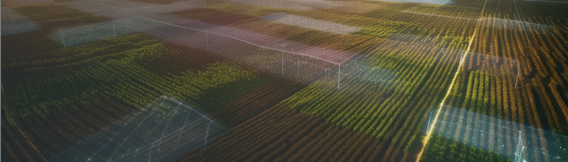 Vedere aeriană a unor terenuri agricole, cu suprapunere digitală